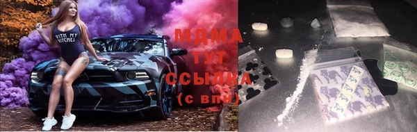 стаф Алзамай