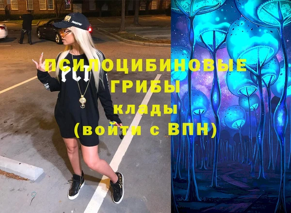 хмурый Алексеевка