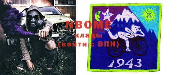 стаф Алзамай