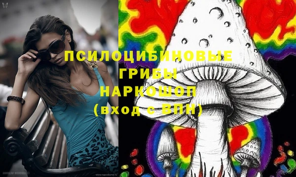 хмурый Алексеевка