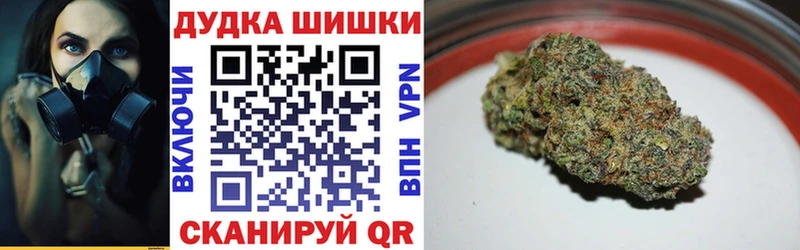 Шишки марихуана план  где можно купить наркотик  Лодейное Поле 